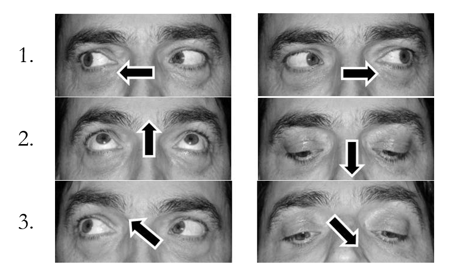 Eye training: simple exercise that can improve your vision SAVIR GmbH